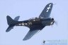 Douglas Dauntless.jpg 